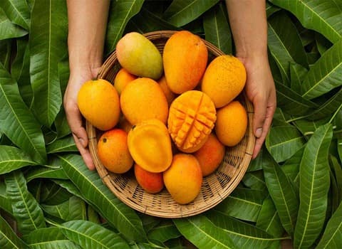 تصویر 1 از خرید و قیمت میوه انبه  + فروش صادراتی
